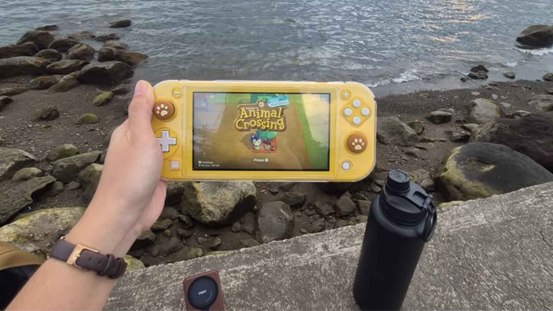 Can I Play Steam Games Offline What Works Without An Internet Connection